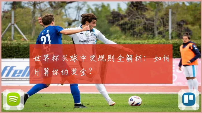 世界杯买球中奖规则全解析：如何计算你的奖金？